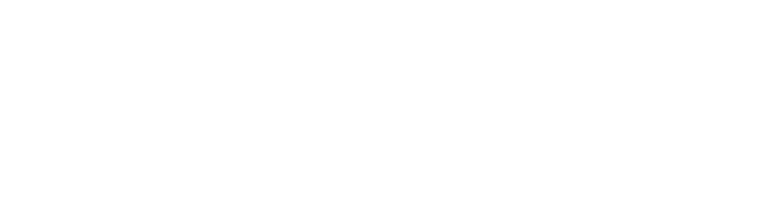 DENT EXPERT